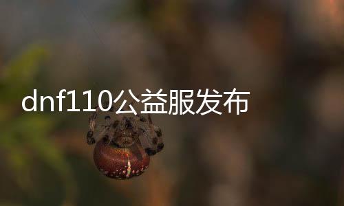 dnf110公益服发布网新开（dnf公益服发布网处事器在哪买）