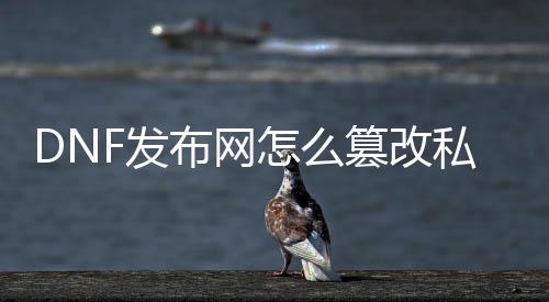 DNF发布网怎么改动私服的数据库（DNF发布网处事端修改）