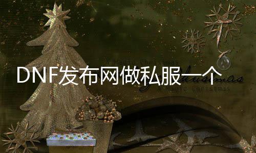 DNF发布网做私服一个月几多钱