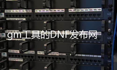 gm东西的DNF发布网好玩吗（dnf公益服gm东西）