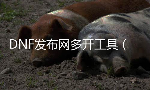 DNF发布网多开东西（dnf公益服多开）