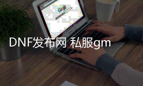 DNF发布网 私服gm东西（DNF发布网的gm东西怎么用）