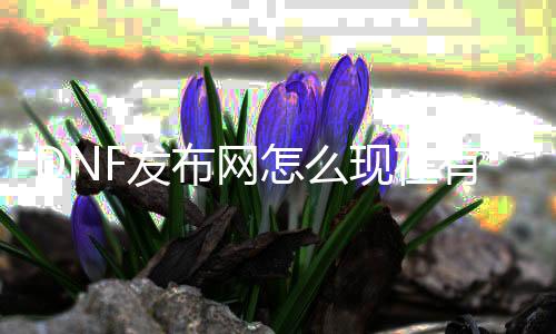 DNF发布网怎么此刻有私服了