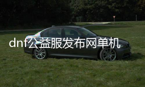 dnf公益服发布网单机游戏（dnf公益服发布网处事器在哪买）
