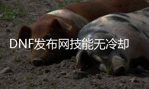 DNF发布网技术无冷却视频（dnf无冷却特效装备搭配）