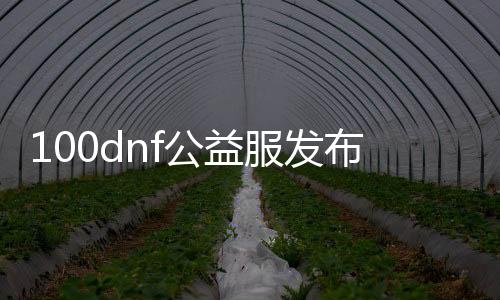 100dnf公益服发布网时间,100dnf公益服发布网最新动静