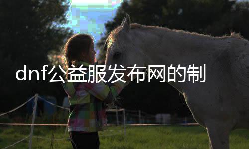 dnf公益服发布网的建造流程详解,如何打造一个乐成的dnf公益服发布网