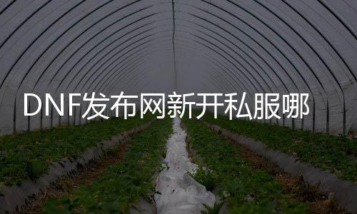 DNF发布网新开私服那边找