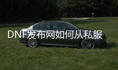 DNF发布网如何从私服退返国服