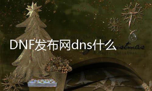DNF发布网dns什么配置（DNF发布网的dns几多）