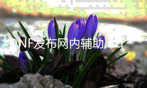DNF发布网内帮助（dnf帮助官方网站）