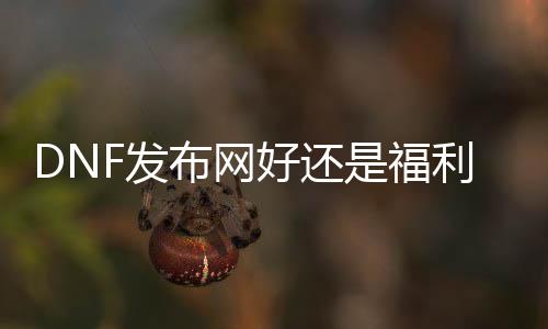 DNF发布网好照旧福利好