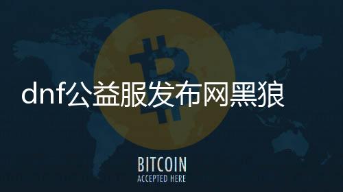 dnf公益服发布网黑狼破解（黑狼破解要领分享）