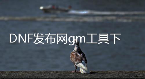 DNF发布网gm东西下载