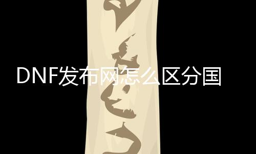 DNF发布网怎么区分国服照旧私服（怎么看DNF发布网脚色在哪个区）