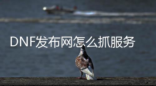 DNF发布网怎么抓处事器