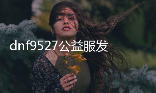 dnf9527公益服发布网下载,最新版本dnf9527公益服发布网下载地点