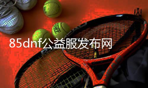 85dnf公益服发布网（提供最新的85dnf公益服发布网下载和玩法先容）