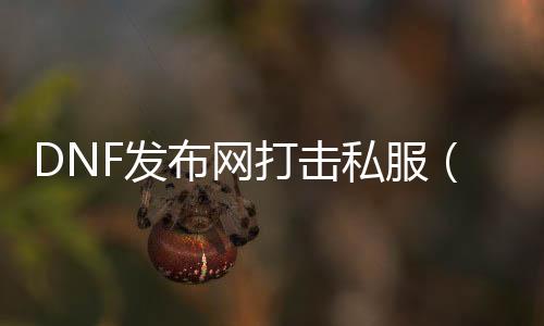 DNF发布网冲击私服（DNF发布网2021冲击事情室）
