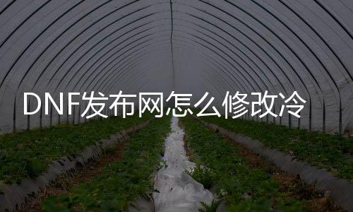 DNF发布网怎么修改冷却（dnf单机奈何修改技术无冷却）