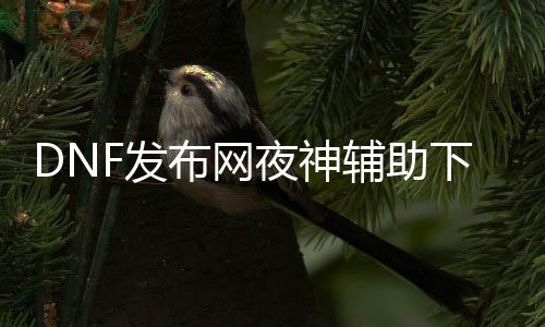 DNF发布网夜神帮助下载（dnf帮助助手）