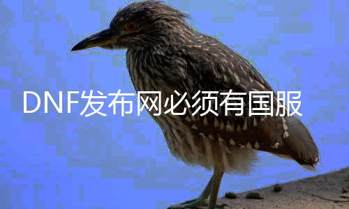 DNF发布网必需有国服吗