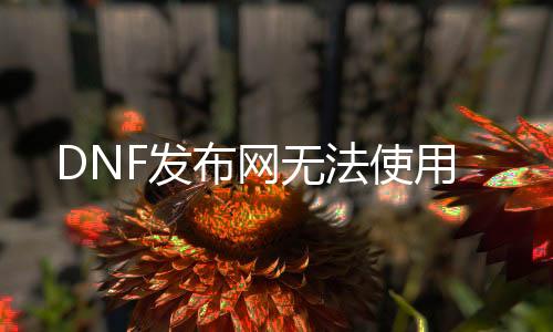 DNF发布网无法利用
