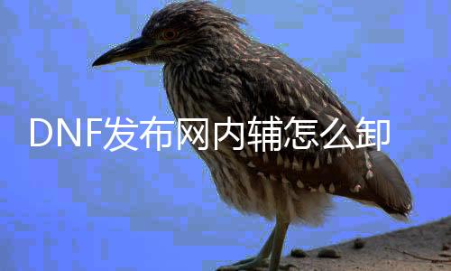 DNF发布网内辅怎么卸载（dnf帮助怎么卸载清洁）