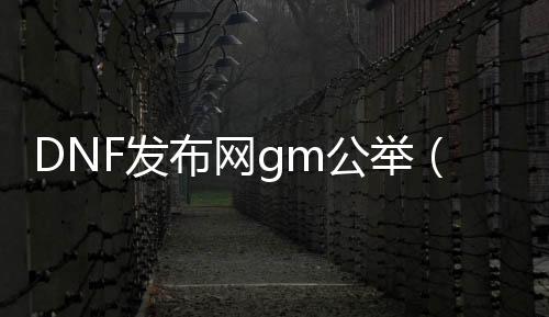 DNF发布网gm公举（DNF发布网官方公家号是什么）