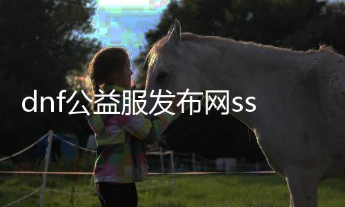 dnf公益服发布网ss能生意业务（dnf公益服发布网开服时间）