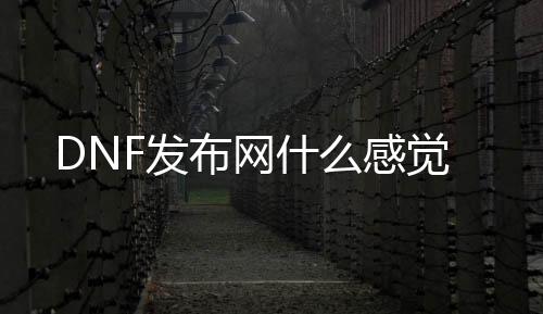 DNF发布网什么感受