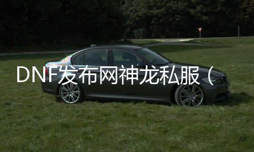 DNF发布网神龙私服（DNF发布网神龙套餐一套几多钱）