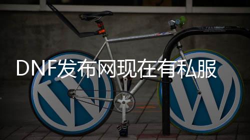 DNF发布网此刻有私服吗