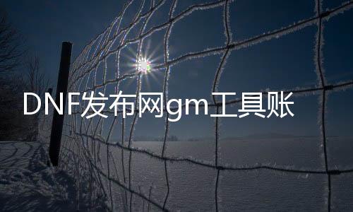 DNF发布网gm东西账号（DNF发布网与勇士gm东西）