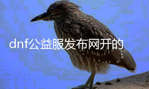 dnf公益服发布网开的长吗（dnf公益服发布网哪个职业锋利）