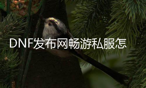 DNF发布网畅游私服怎么安装（畅游DNF发布网帮助）