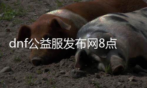 dnf公益服发布网8点福利有哪些,逐日8点福利勾当一览