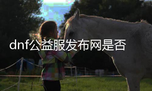 dnf公益服发布网是否支持利用ce作弊东西
